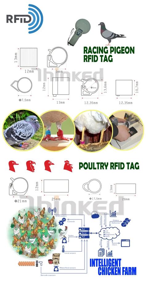 chicken rfid tracking|gps trackable poultry tags.